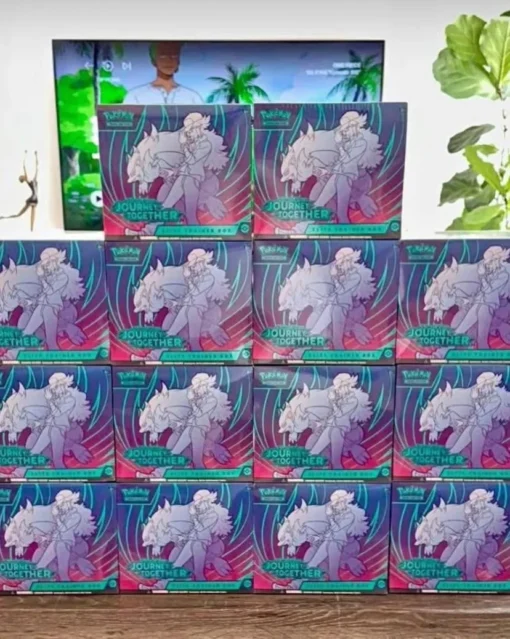 pokemon sammelkarten großhandel